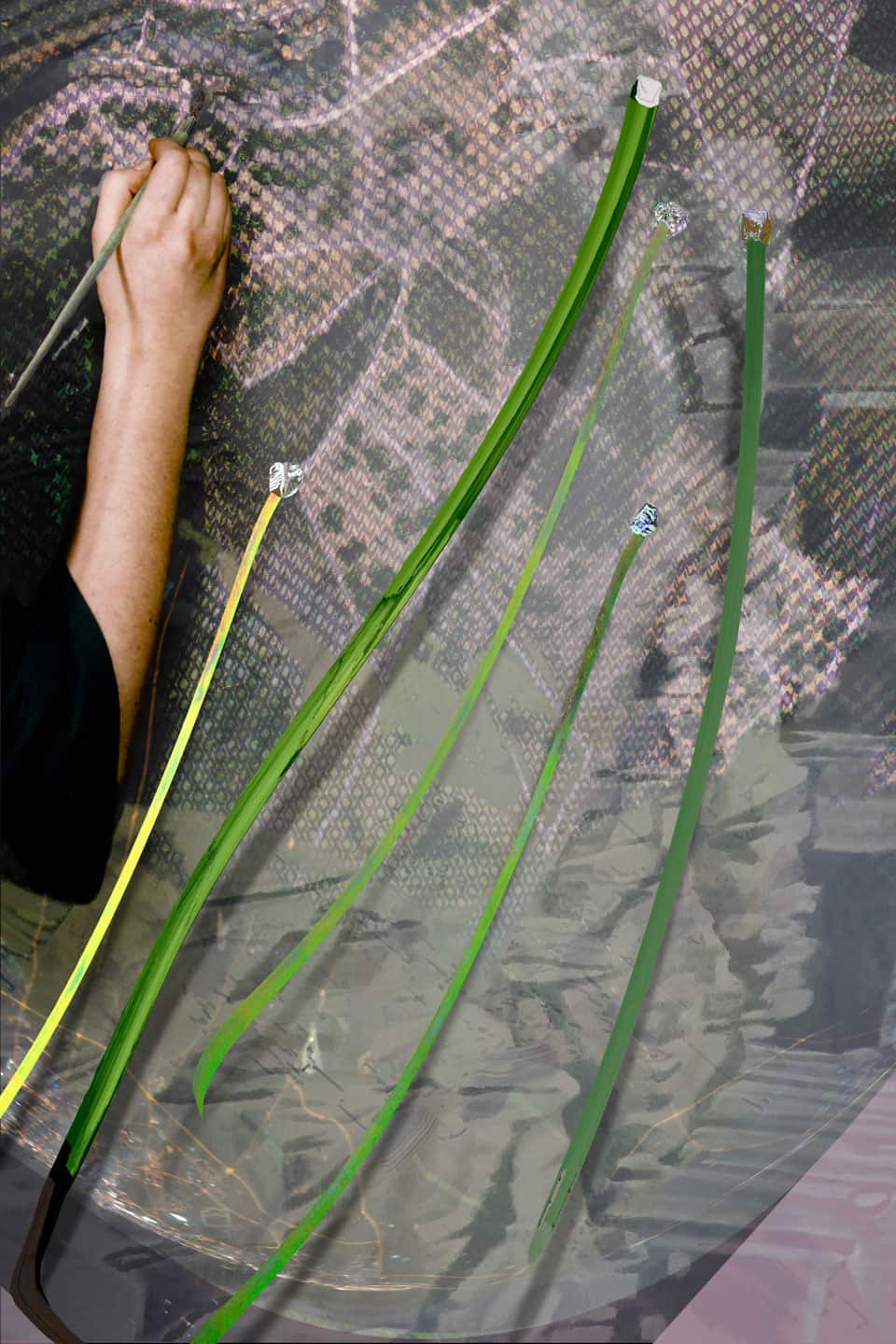 Alex Fischer, Seeding, 2012, 21×14 inch digital lightjet